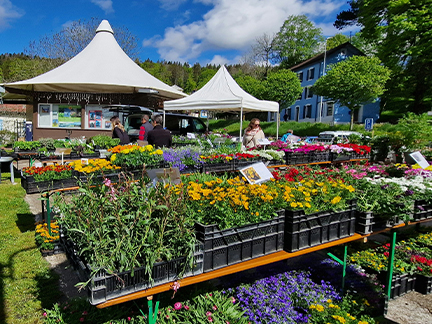 St-Cergue - marché aux fleurs et plantons