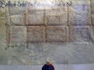 Schenkungsurkunde aus dem Jahr 1607 von Schloss und Gütern in Aesch vom Fürstbischof zu Basel, Jakob Christoph Blarer von Wartensee an seinen Neffen, Domherr Wilhelm Blarer von Wartensee.

<LINK intern:geschichte/welcome.php?action=showinfo&info_id=3537>Geschichte</LINK>