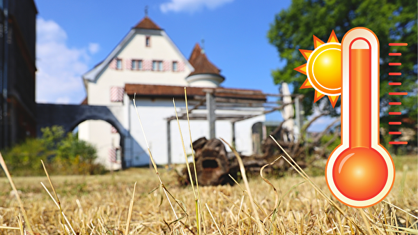 Trockene Wiese vor der Gemeindeverwaltung