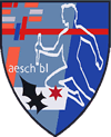 Logo Turnverein Aesch