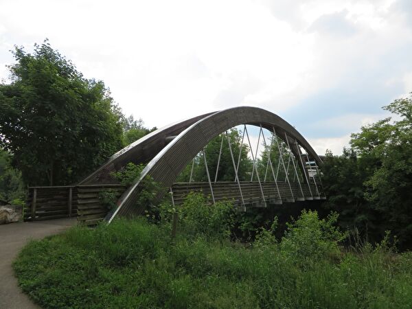 Holzbogenbrücke, Weidenring