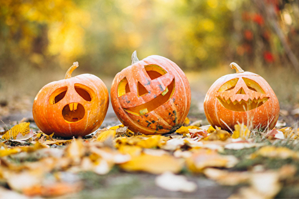 Halloween-Symbolbild mit drei Kürbissen