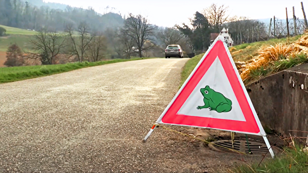 Achtung Amphibien: Warnschild an der Klusstrasse