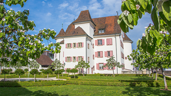 Schloss mit blühenden Quittenbäumen