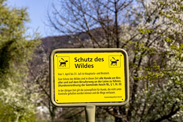Leinenpflicht-Schild am Birsufer