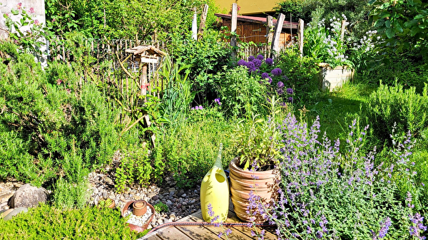 Ein Aescher Garten voller Biodiversität