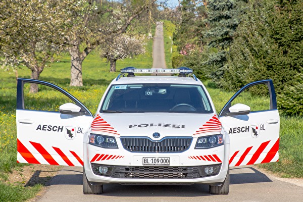 Einsatzfahrzeug Polizei Aesch