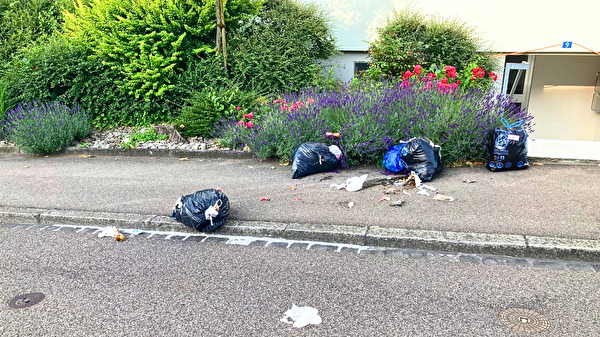 Zerpflückter Kehricht auf dem Trottoir