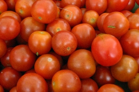 ... herrliche Tomaten - auch ganz kleine ...