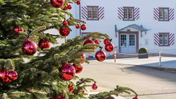 Schlossplatz mit Weihnachtsbaum