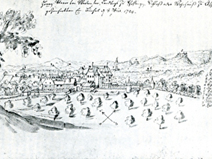 Kupferstich von Emanuel Büchel aus dem Jahr 1754.

<LINK intern:geschichte/welcome.php?action=showinfo&info_id=3537>Geschichte</LINK>