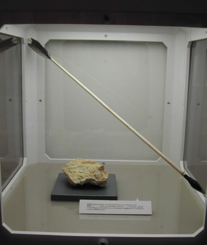 Die Ausstellung