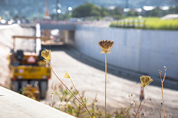 Baustelle Pfeffingerring