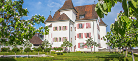 Schloss mit blühenden Quittenbäumen