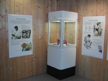 Die Ausstellung