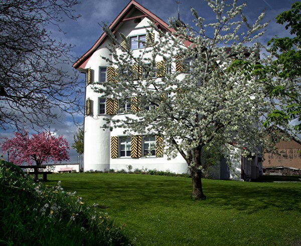Dottenwil