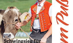 am Puls 2025/29-31