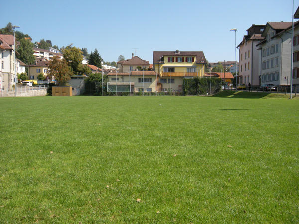 Bild Rasenplatz Wilen