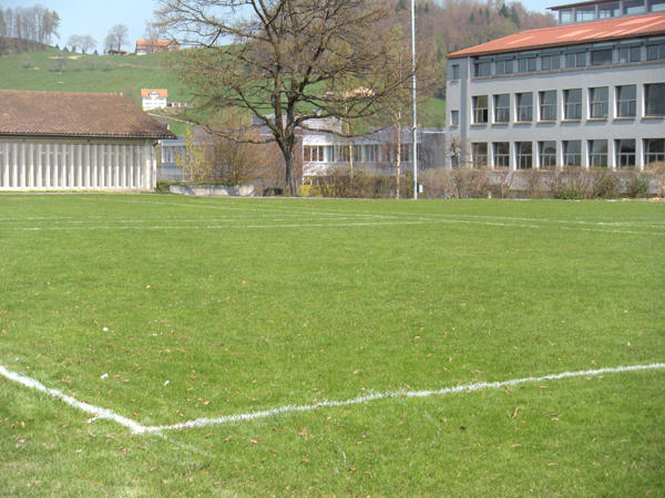 Bild Kleiner Rasenplatz Ebnet