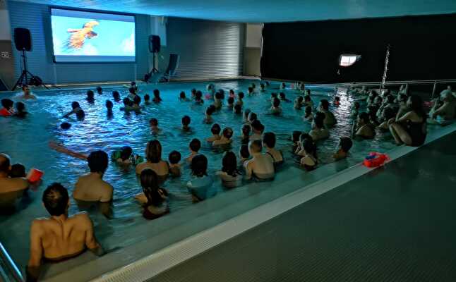 Kinder-Kino Sportzentrum Herisau