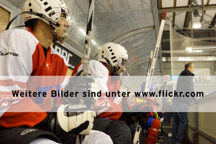 Unter dem folgenden Link finden Sie weitere Bilder auf unserem Flickr-Profil: <LINK>www.flickr.com/photos/108435313@N07 </LINK> 