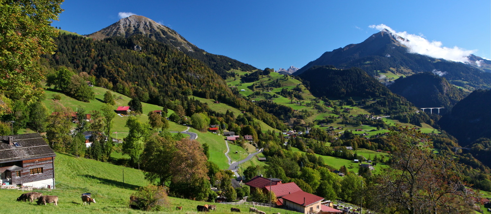 Cergnat été paysage
