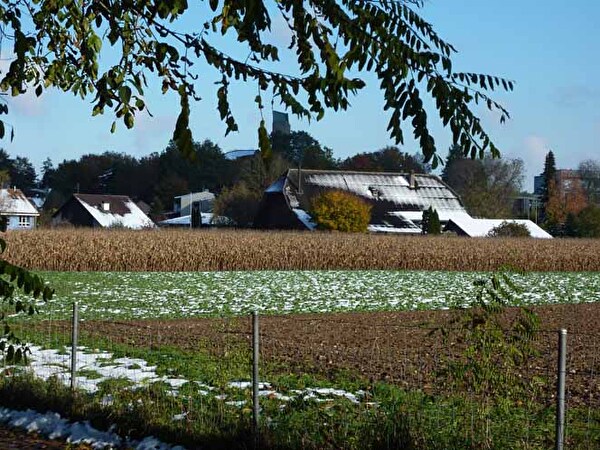 Herbst mit Schnee