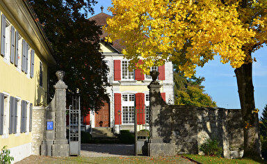 Eingang Museum Blumenstein