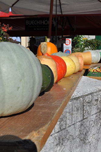 Kürbisse auf dem Markt