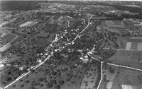 Auf diesem Bild sehen wir das Dorf Homburg im Jahre 1940.