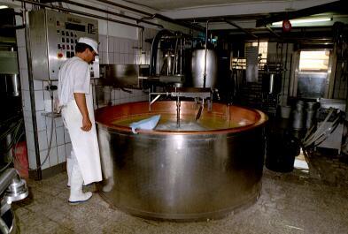 Die Milch im gleichen verarbeiten, wo sie herkommt. In der Käserei Homburg wird an diesem Tag Emmentaler hergestellt.