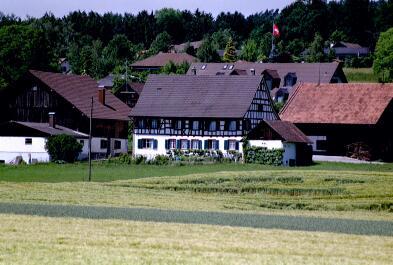 Die Ansicht von Homburg aus Süden lässt vermuten, das Dorf liege direkt am Waldrand.
