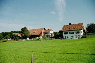 In der Mitte zwischen den Weilern Reutenen und Salen liegt dieser Landwirtschaftsbetrieb.