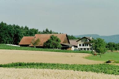 Einer der Landwirtschaftsbetriebe im Gebiet Hagenbuch.
