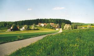 Der Weiler Salen liegt eingebettet zwischen Reutenen und der Anhöhe des Haidenhaus.