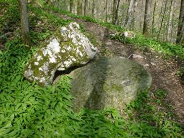 Schalenstein