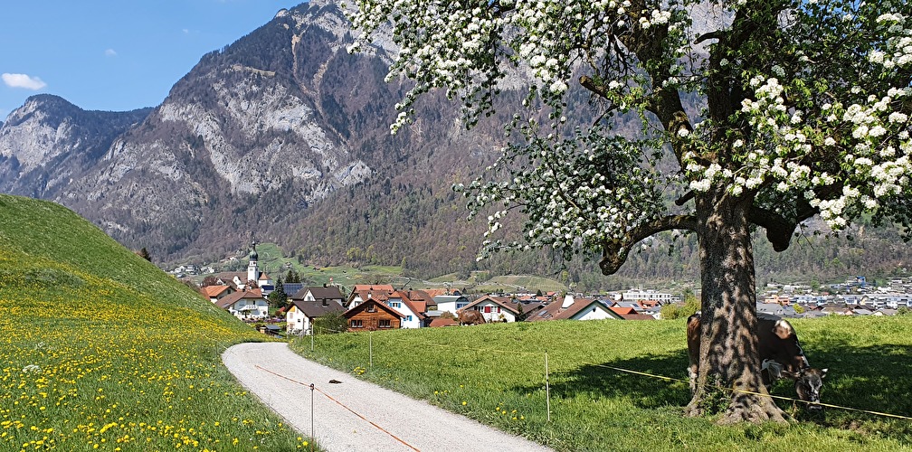 Leben im Alter