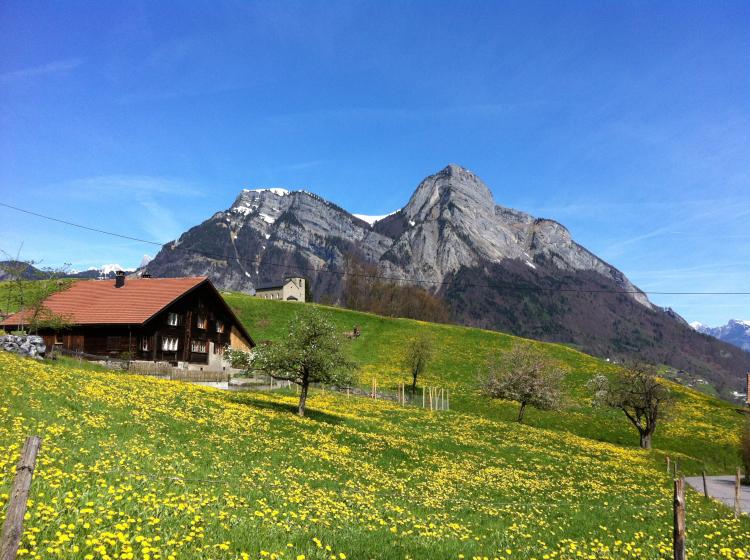 Blick in Richtung Gonzen mit Butzerkapelle