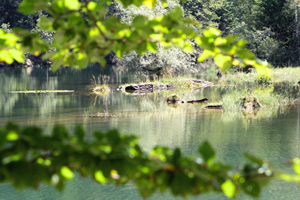 Chapfensee
