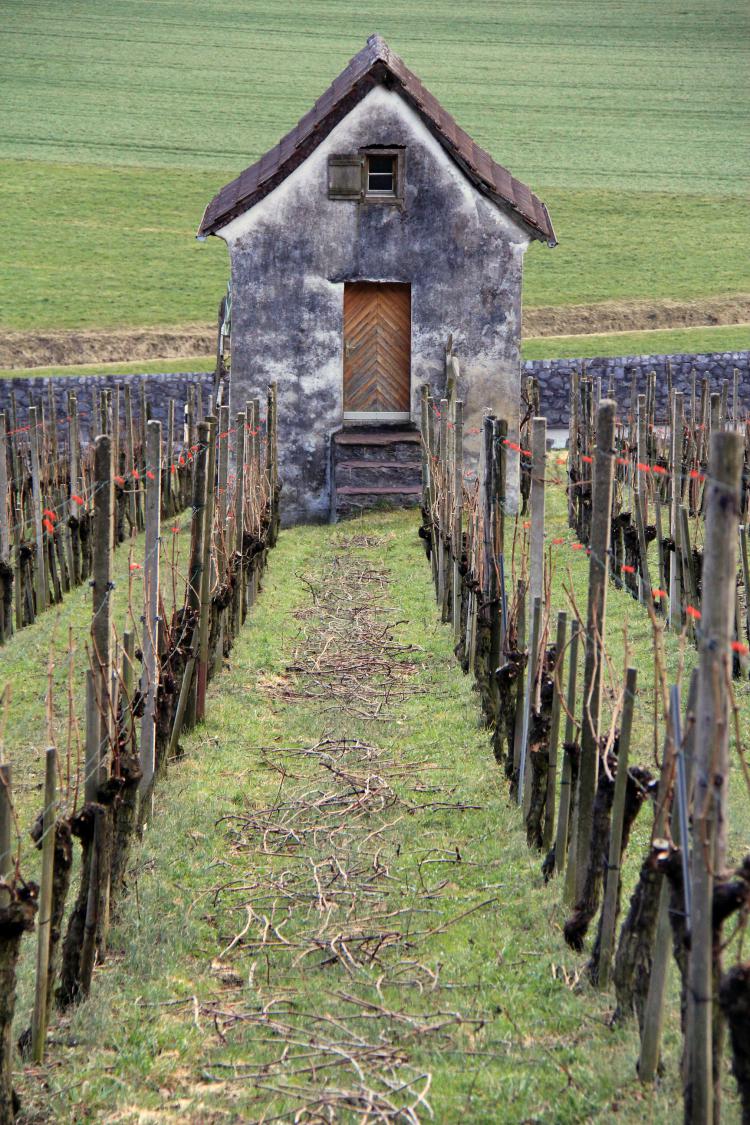 Weinberg - Steinern Steg