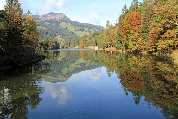 Chapfensee