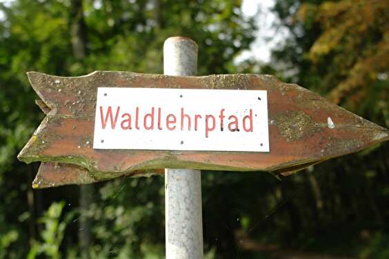 Waldlehrpfad 2007