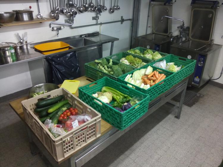 Die gesammelten Lebensmittelabfälle:Gemüse, Früchte, Salate und grosse Mengen Brot
