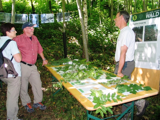 Der Förster Ruedi Fluri (rechts) erklärt, wie sich der Wald nach dem Sturm Lothar entwickelt hat.