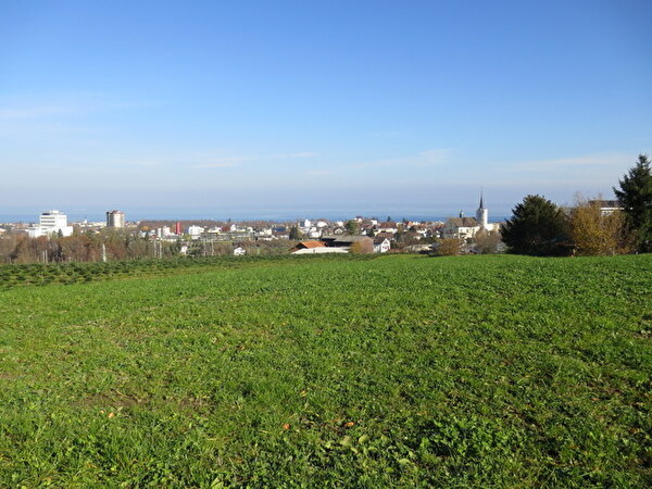 Bild Liegenschaften Sonnental