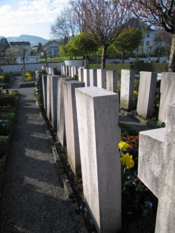Friedhof Goldach