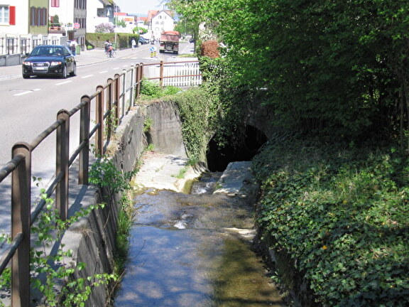 Einlaufbauwerk Dorfbach bei der Weierstrasse
