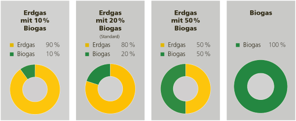 Erdgas- und Biogasprodukte ab 1. Januar 2021