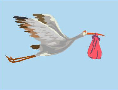 Bild Storch