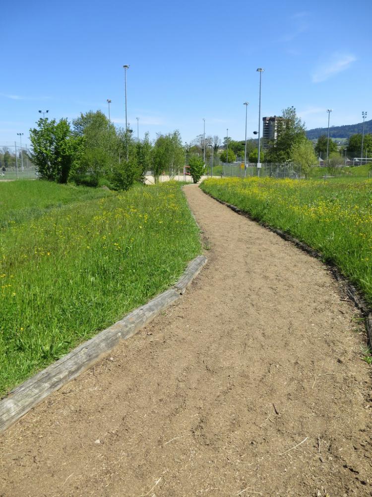 Finnenbahn mit 640 m Länge rund um die Kunstrasenspielfelder